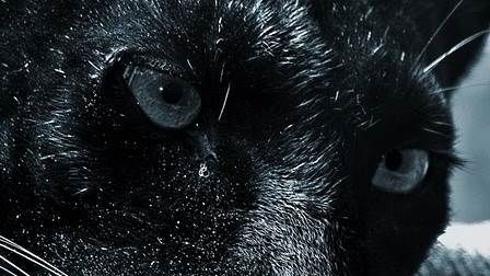 Обби с бобами.... что есть ещё странее?