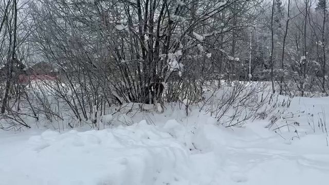 Video_2026-01-20_14-59-43