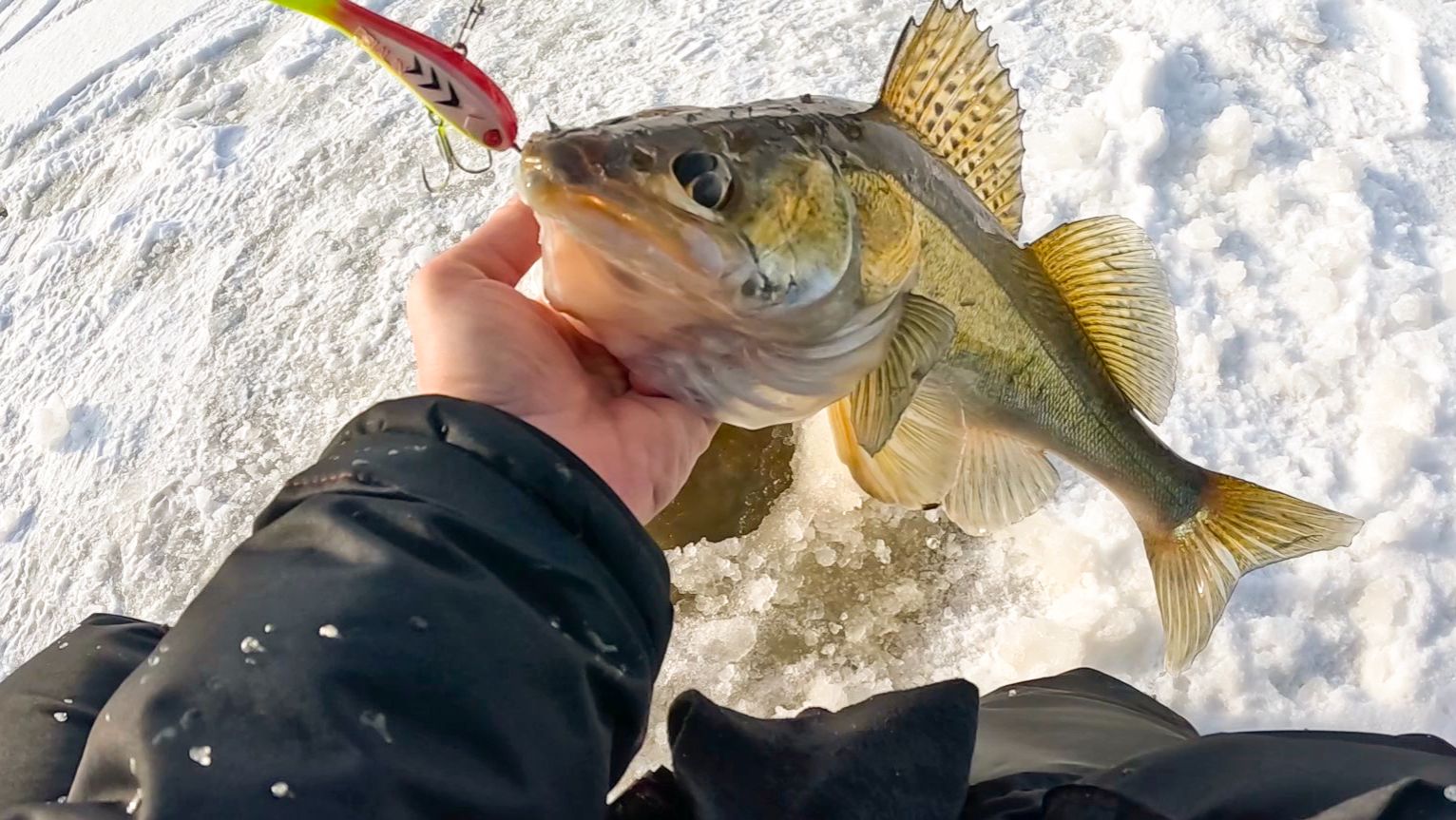 ЭТА ПРИМАНКА ЛОВИТ судака, КОГДА НЕ КЛЮЁТ! Рыбалка на балансир  в марте зимой в 2026