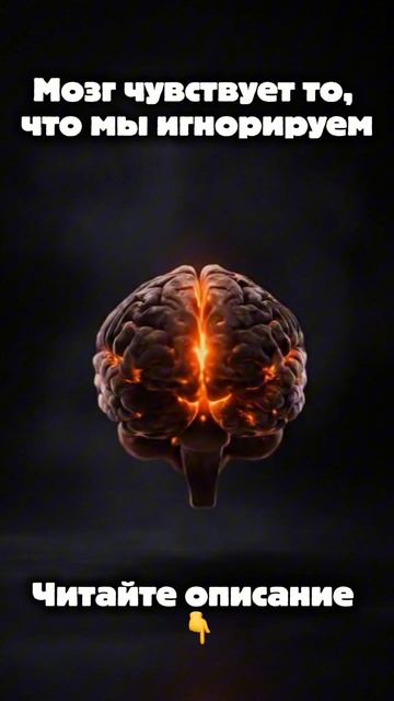 9a4c61d56817bbefecb6994699a34803