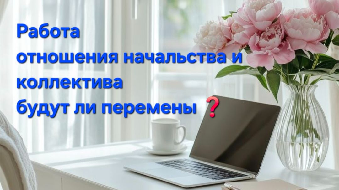 Работа, отношение начальства и коллег , перспектива