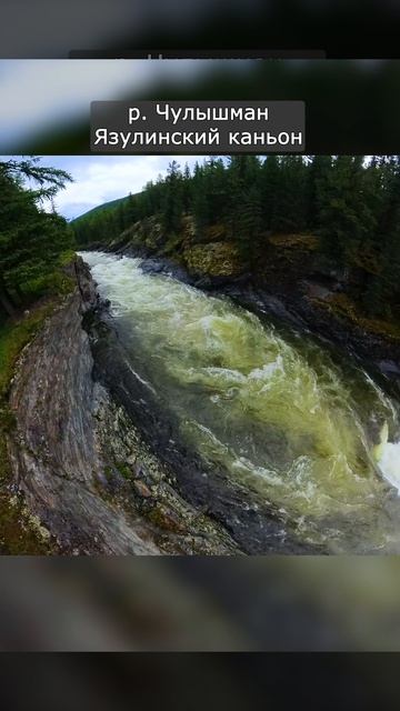 D27be0cbb59dcc6a60c281294466486d