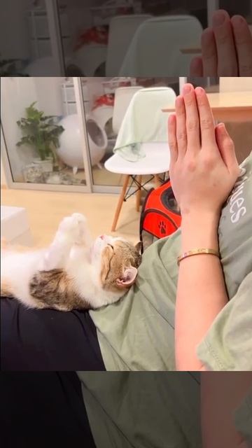 Время молитвы