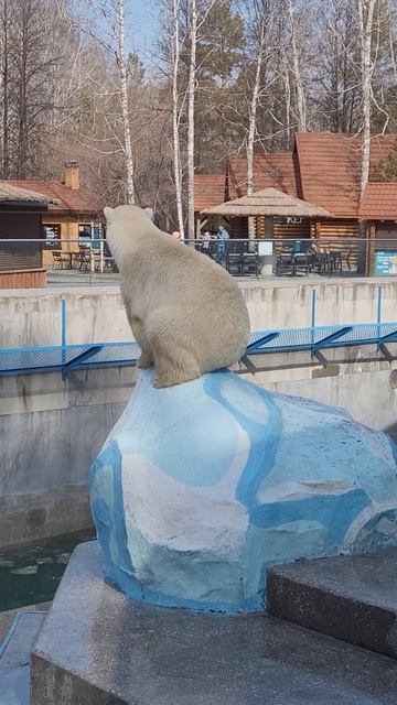 Балетная грация на сцене #балет #танец #искусство