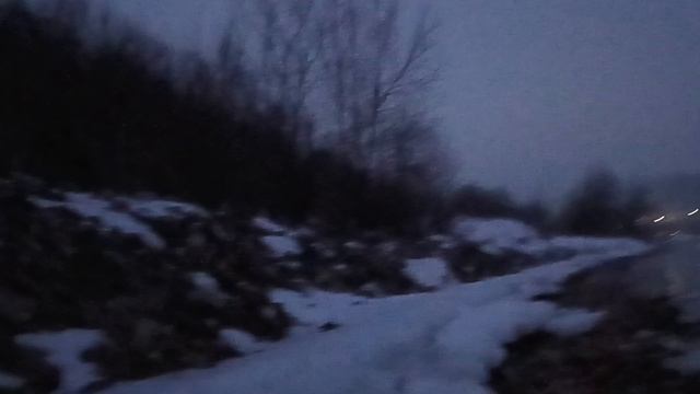 берш в ночи рыбалка