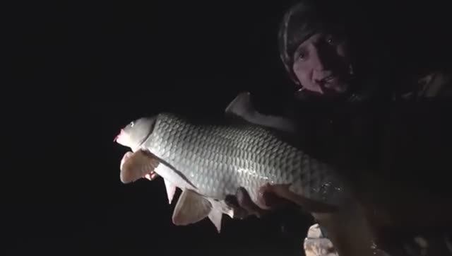 6b35c90f1f7b079ef01abbdd400bd58e