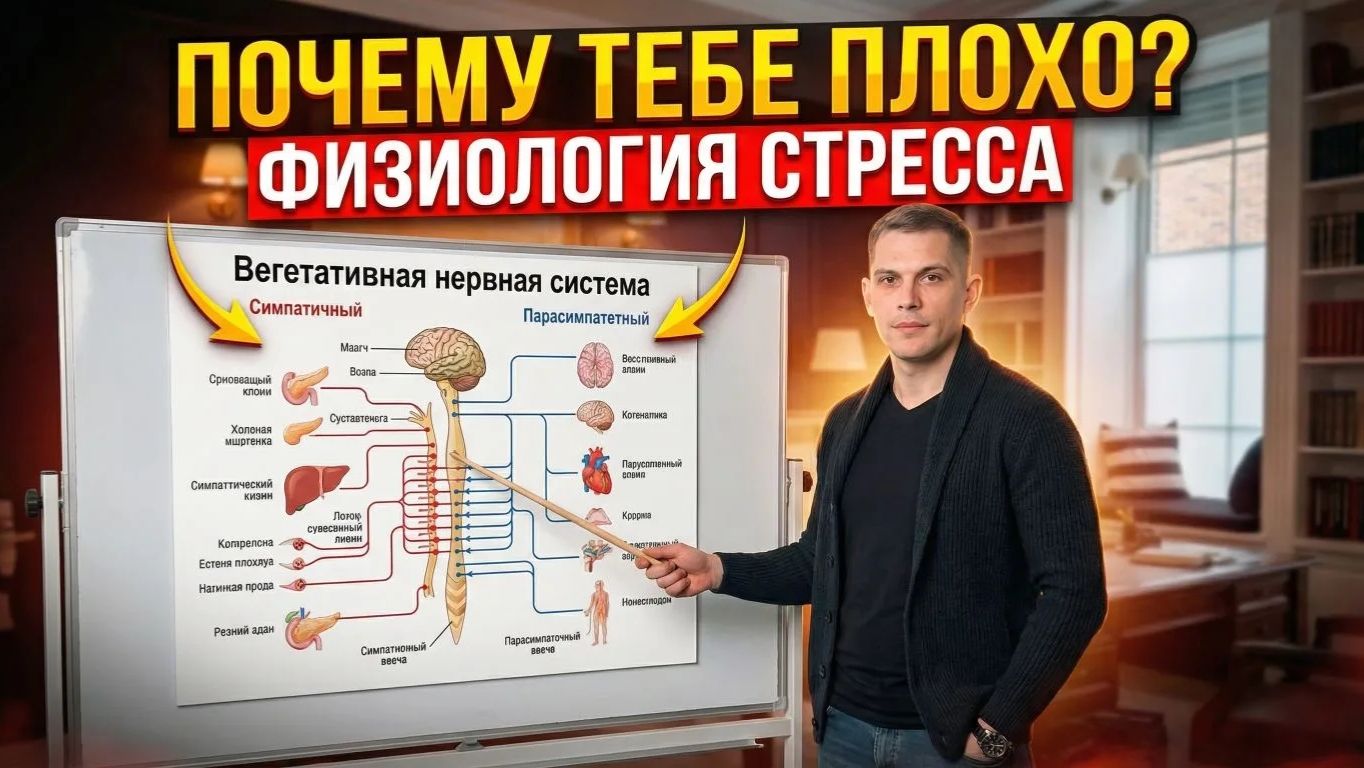 Стресс и твое тело - Физиология стресса