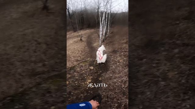 Рубрика «Полезные команды»