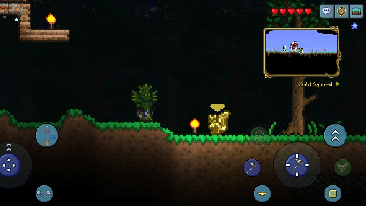 Я чуть не начал заново игру из-за золотой белки | Суходрищик Terraria