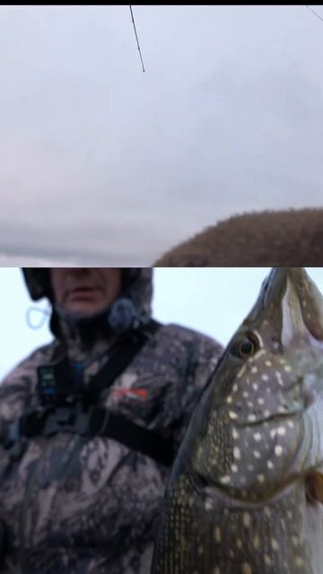 МЫ УМЕЕМ ЛОВИТЬ КРУПНУЮ ЩУКУ!  #рыбалка #fishing #jackall #norstream