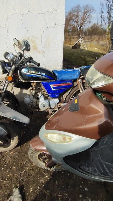 Новые поступления Альфа и Шторм.