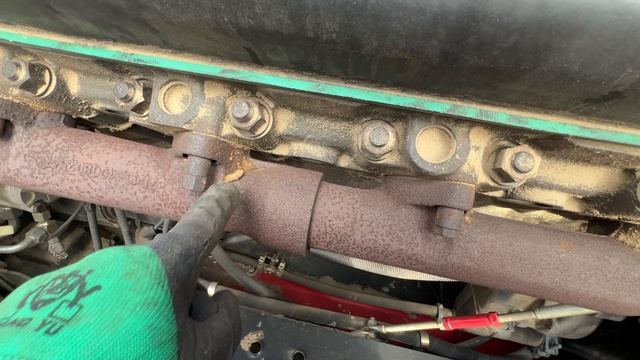 Молотим подсолнечник