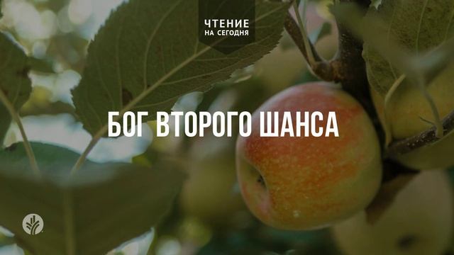 БОГ ВТОРОГО ШАНСА  | АУДИО |	14	  апреля 2026