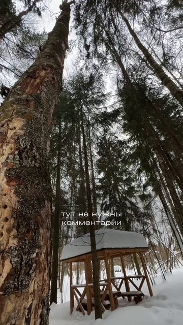 Что посмотреть за 65 млн рублей?