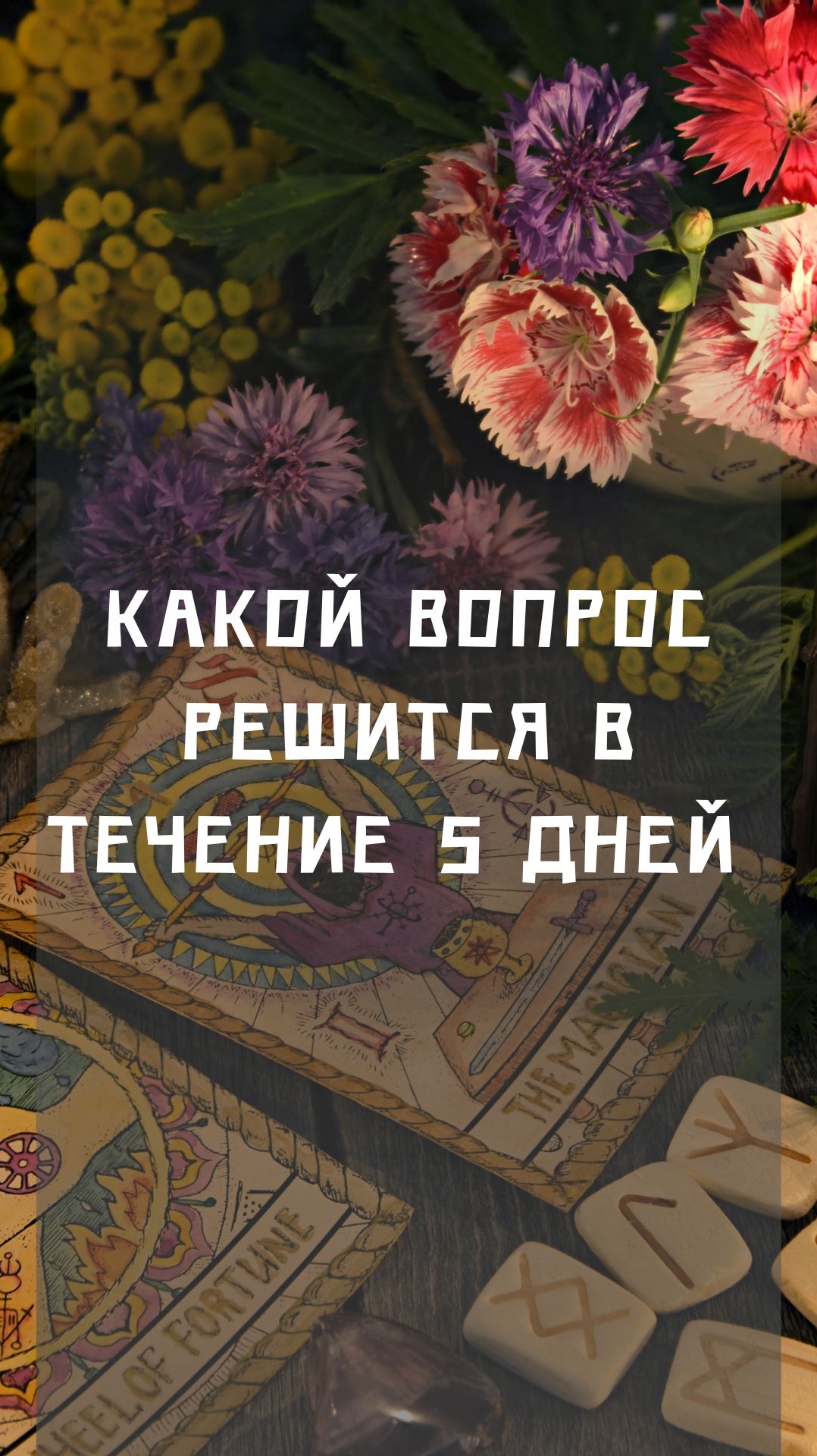 Какой вопрос решится в течение 5 дней ?