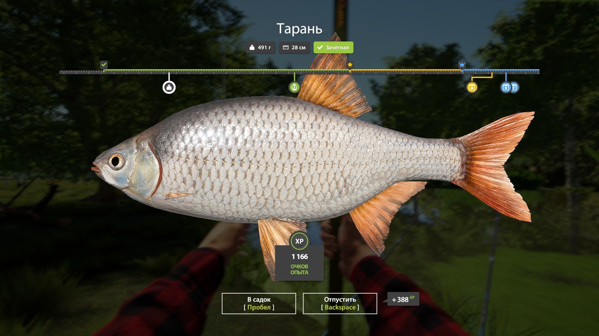 Играем в Russian Fishing 4 ловим тарань,краснопёрку,плотву и другую рыбку на р.Донец.