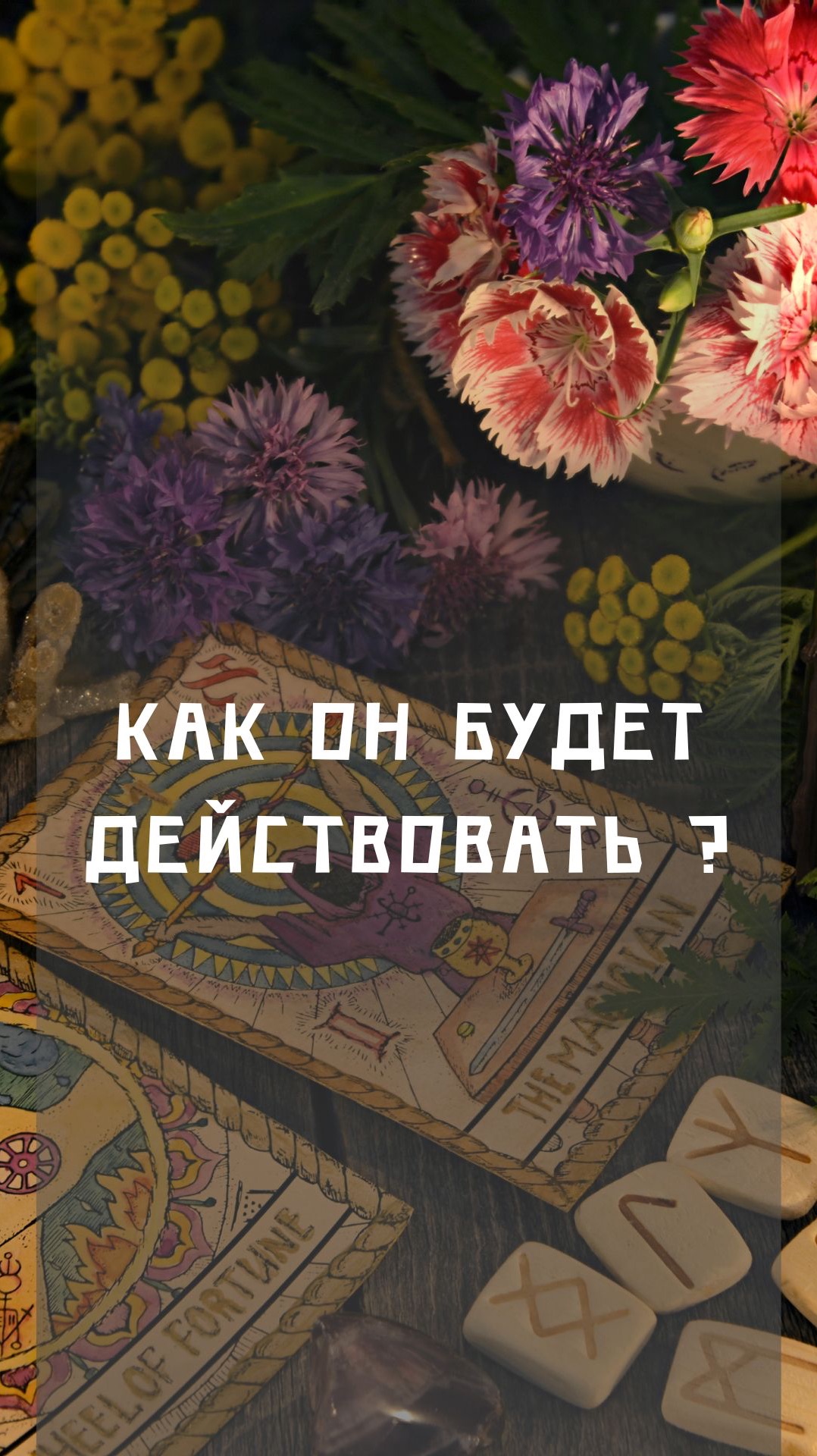 Как он будет действовать?