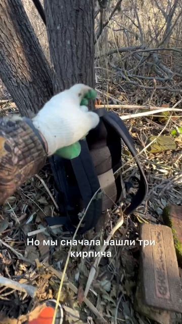 С крайней поездки на Сахалин #сахалин #историясемьи