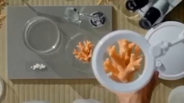 MOV_20260325_083436_854.mp4