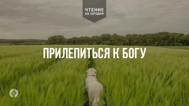 ПРИЛЕПИТЬСЯ К БОГУ  | АУДИО |	11	  апреля 2026