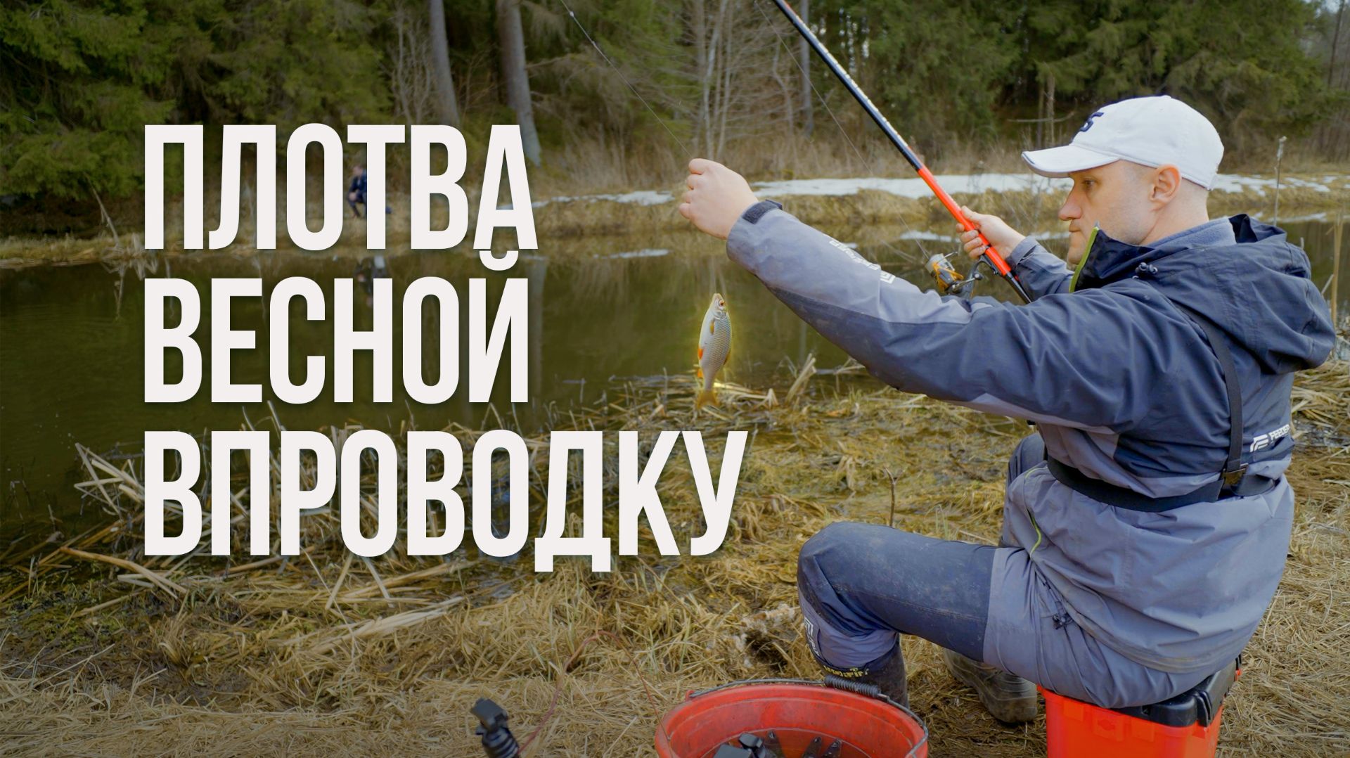 Рыбалка впроводку с болонкой на маленькой речке! Плотва на шитика, мотыля и кукурузу