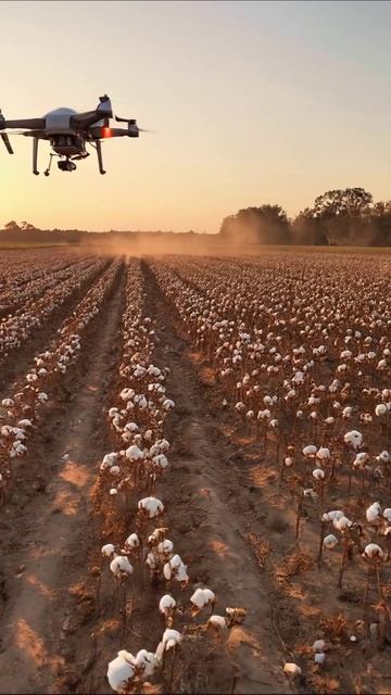 Дрон над хлопковым полем: инновации в сельском хозяйстве #дрон #сельское_хозяйство #хлопок