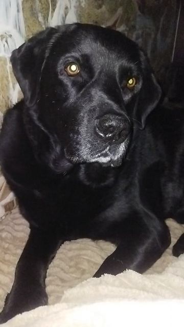 Мартюха 😍❤