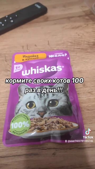 HAHAHAHHAHAHAHAHHAHAHHSHSHDHHSHSHSHHS