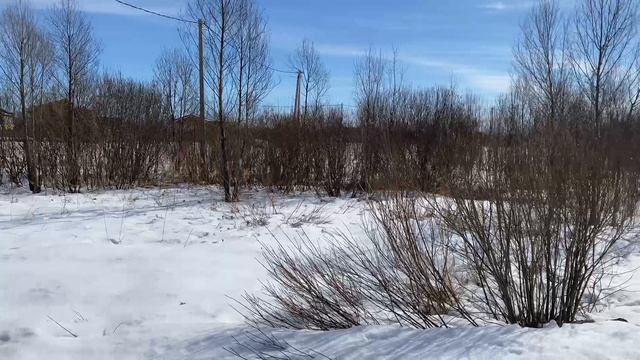 продажа участка в Юркино