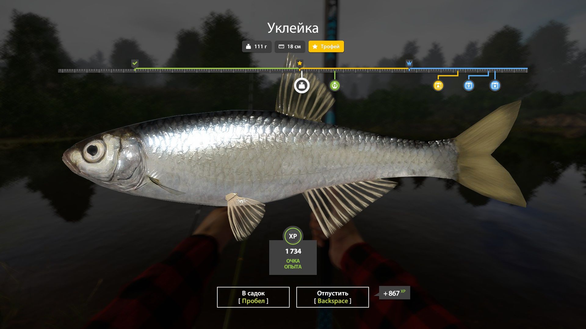 Играем в Russian Fishing 4 ловим уклейку на и другую рыбку р.Вьюнок.