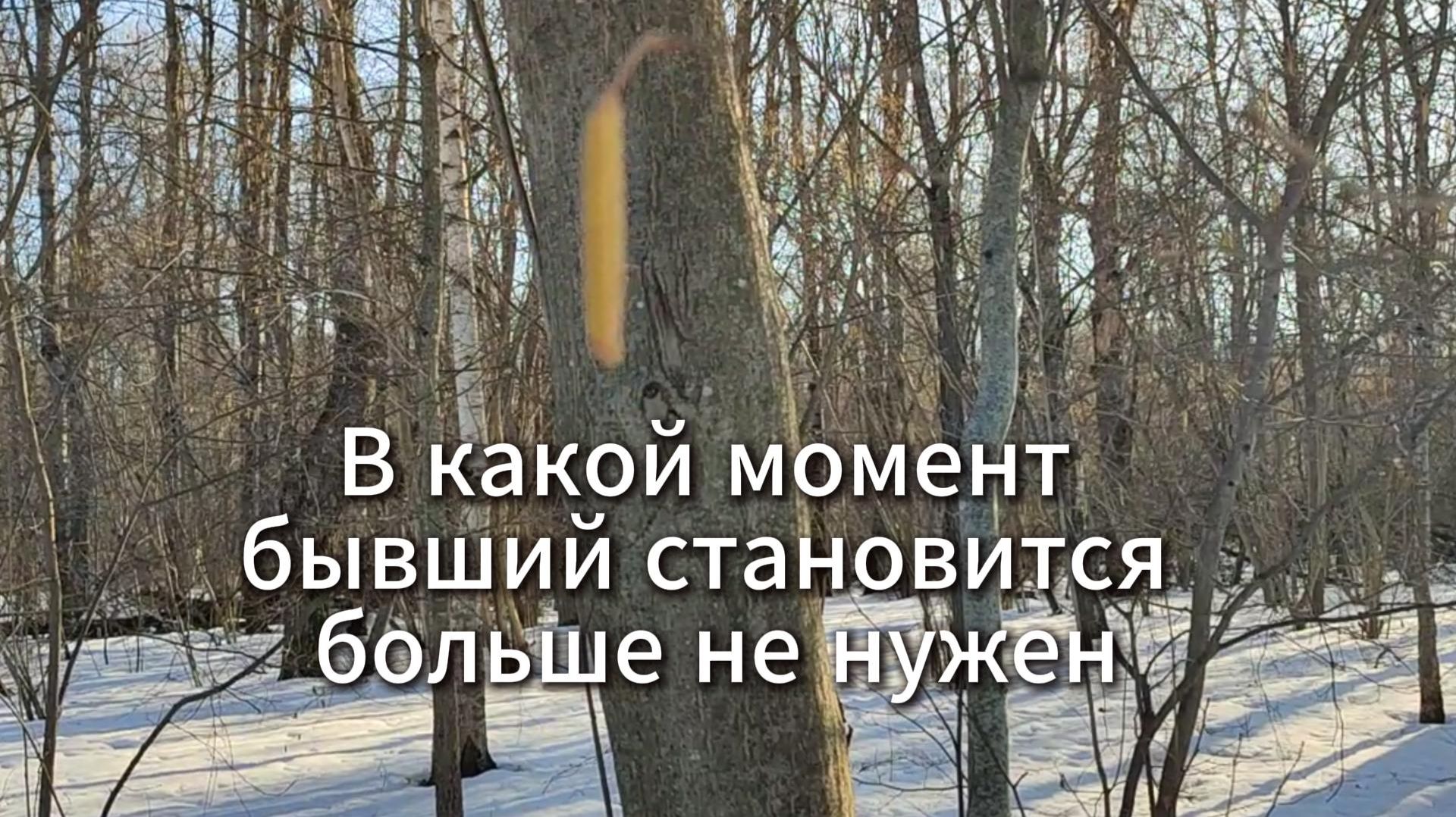 В какой момент бывший становится больше не нужен