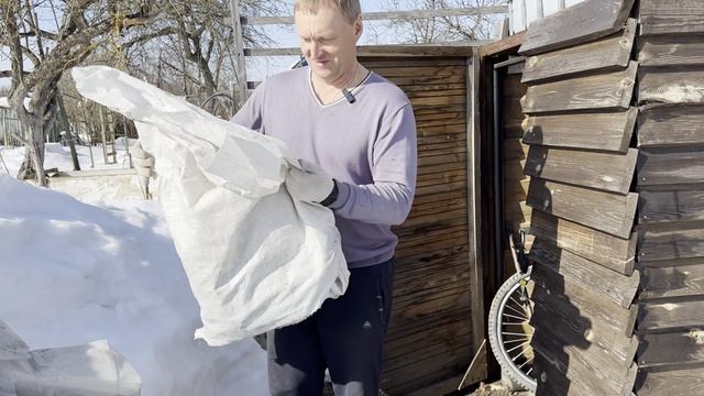 Посадили редис/Моя рассада/15.03.2026