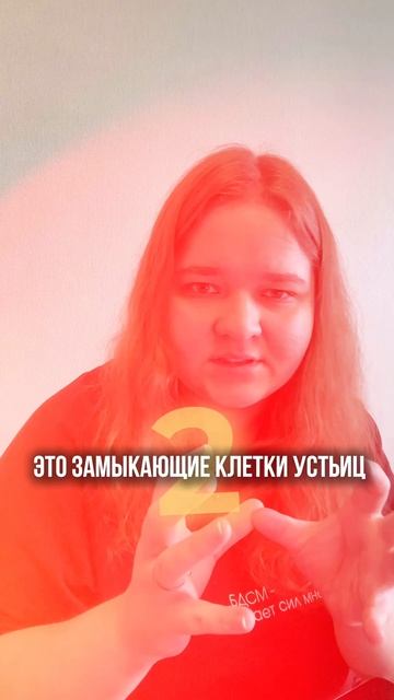 📚Конспекты для ЕГЭ (90+) ссылка в профиле