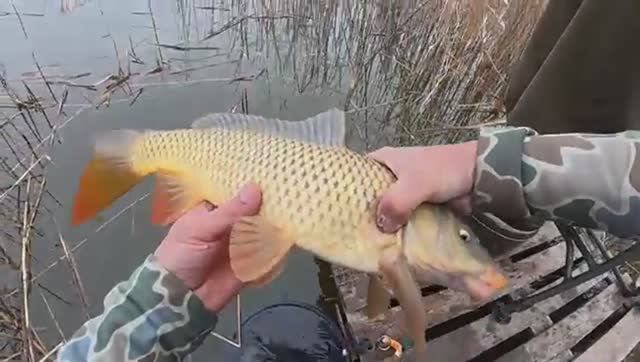 Ca08bfbdeeed4e57847cc931011f6913