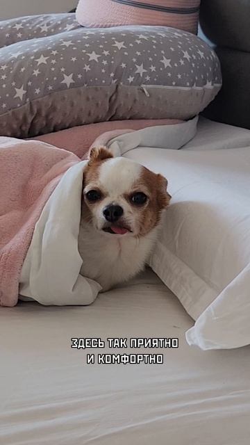 Подушко-терапия