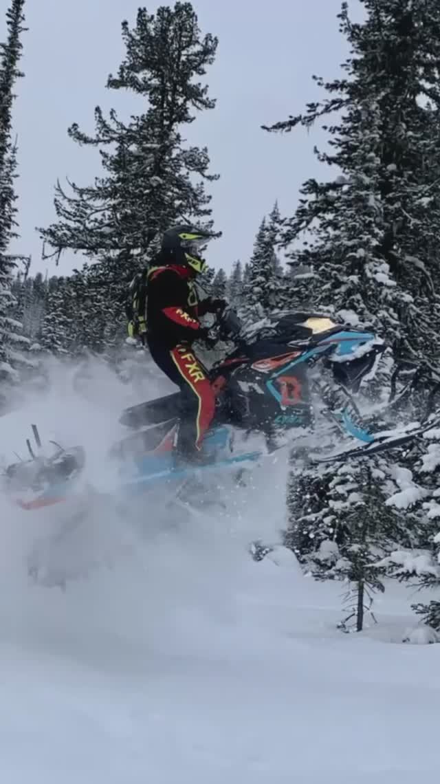 Ski-Doo U Lynx - как купить и оптимизировать СтоИМОСть?