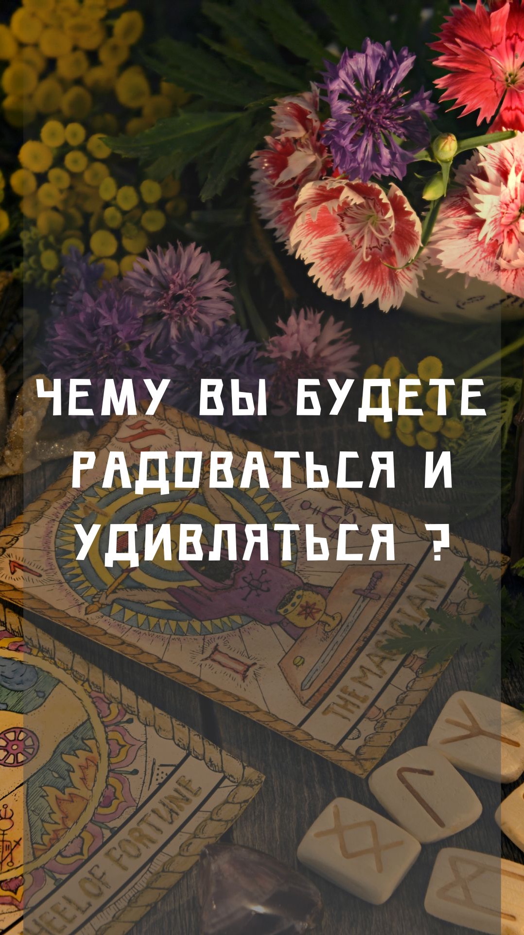 Чему вы будете радоваться и удивляться ?