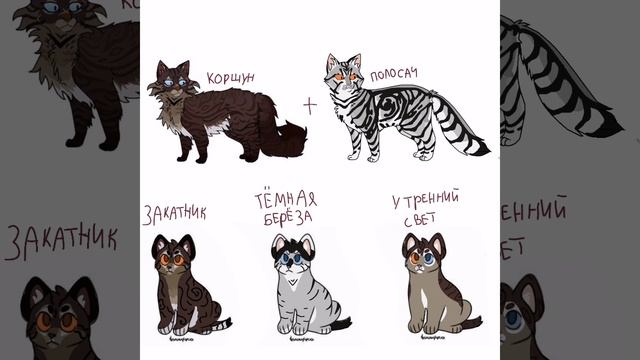 🍋Смешивания окрасов #2🫪🍋