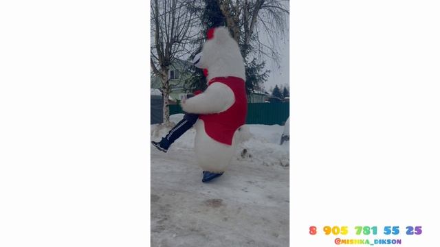 Мишка Диксон 8 905 781 55 25