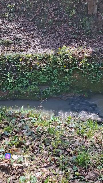 Мое вдохновление от природы!