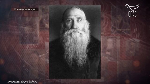 В ДЕНЬ ПАМЯТИ ПРЕПОДОБНОМУЧЕНИКА ВЛАДИМИРА (ВОЛКОВА)