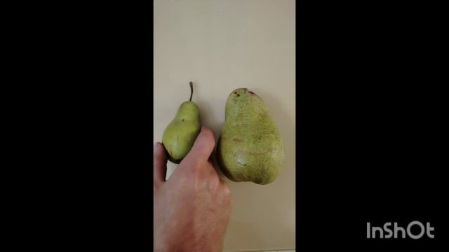 #груша