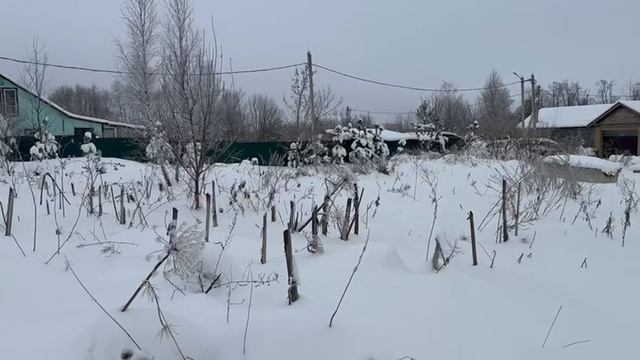 Video_2026-01-20_15-01-08