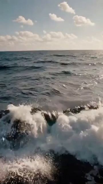 #newvideo #tiktoktrend #explorepage