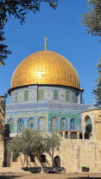 ИзраильЦентрВсего !