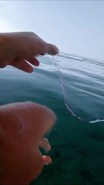 Зимний пейзаж: красота снежного покрова #зима #пейзаж #природа