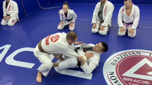 семинар Bjj Новосибирск