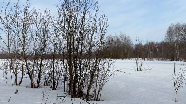 д Новотроицкое