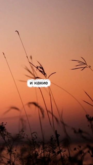 Из какой части вы принимаете решения? #осознанность #мотивация #психология #работанадсобой #shorts