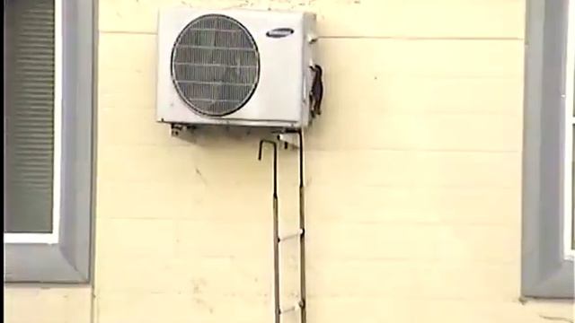 Смотреть КАК она снимает! (BEWARD B85-7-IP2, запись с IP-камеры, день)